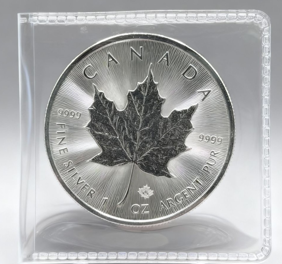 silver-coin-bag